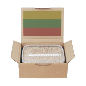 Mondo Grow Kit PES