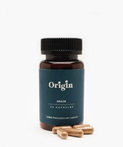 Brain Capsules (50mg-200mg)