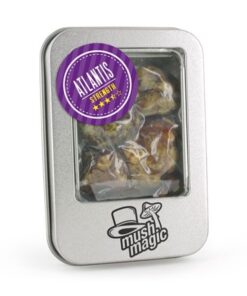 magic truffles atlantis