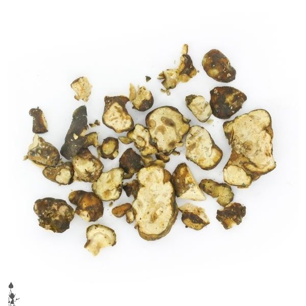 kosmic_kitchen_magic_mushrooms_truffles_psilocybe_utopia_5