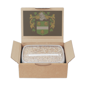 Buy Mondo Grow Kit Treasure Coast Online.